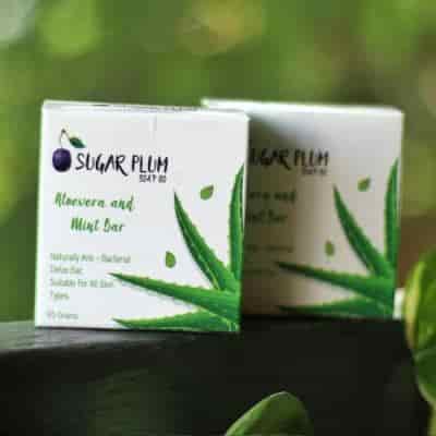 Buy Sugar Plum Soap Co. Aloe Vera & Mint Seeds Bar Pack of 2