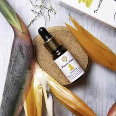 Buy The Herbal Blend Tranquility Blend Essential Oils Pure Essential Oils of Therapeutic Grade