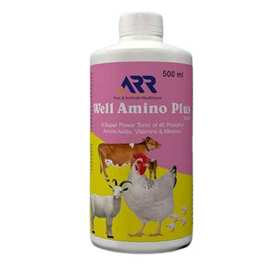 Buy Al Rahim Remedies Well Amino Plus Liquid