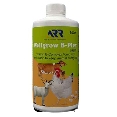 Buy Al Rahim Remedies Well Grow B-Plex Liquid