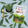 SFT Dryfruits Bay Leaf (Tez Patta)