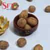 SFT Dryfruits Walnut Inshell (Akhrot)