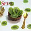 SFT Dryfruits Kiwi Slice (Dried)