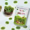 SFT Dryfruits Kiwi Slice (Dried)