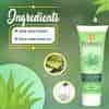 Krishnas Herbal And Ayurveda Krishna'S Pure Aloe Skin Softening & Supple Face Wash For Daily Use