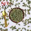 SFT Dryfruits Cardamom Green (Elaichi)