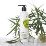 Plum Goodness Olive and Macadamia Healthy Hydration Shampoo