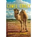 Buy Aadvik Camel Crazy A Quest For Miracles In The Mysterious World Of Camels