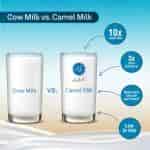 Aadvik Camel Milk Powder Freeze Dried