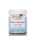 S N Pandit Ayurveda Badami Rasayana