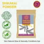Avnii Organics Natural Shikakai Powder