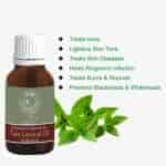 Avnii Organics Natural Tulsi Essential Oil