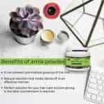 Avnii Organics Pure Amla Powder