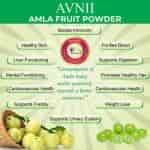 Avnii Organics Pure Amla Powder