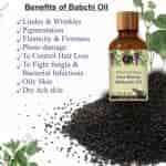 Avnii Organics Pure Babchi Oil