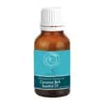 Avnii Organics Pure Cinnamon Bark Essential Oil