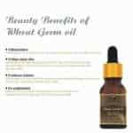 Avnii Organics Wheat Germ Oil