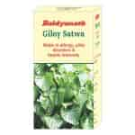 Buy Baidyanath Giloy Satwa