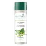 Buy Biotique Bio Soya Protein Shampoo