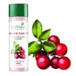 Biotique Bio Winter Cherry Body Lotion