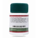 Birla Ayurveda Rejuva Tablets