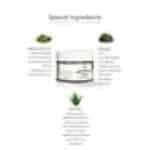 Clovia Botaniqa Matcha Green Tea Face Mask With Natural Formula With Aloe Vera & Seaweed