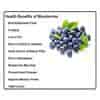 Wonderland Foods Premium Quality Low-Sugar Dried Blueberries