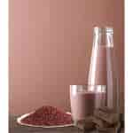 Early Foods Organic Ragi Chocolate Drink