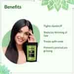 Guduchi Ayurveda Sanjanana Premium Herbal Hair Pack For Split Ends Thinning Hair & Dandruff