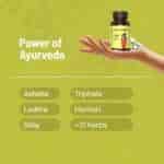 Gynoveda Veera For Heavy Flow 120 Pills