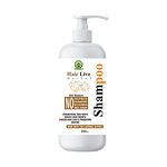 Buy Chandigarh Ayurved Centre Hair Live Shampoo