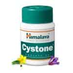 Buy Himalaya Cystone Tablets