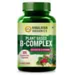 Himalayan Organics Plant Based B Complex Vitamins B12 B1 B3 B2 B9