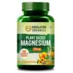 Himalayan Organics Plant Based Magnesium 220mg