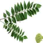 Buy Karuvepillai / Curry Leaves Powder