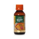 Kudos Ayurveda Kasolin Ginger Cough Syrup