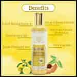 Khadi Natural Lemon & Tamarind Hair Cleanser Sulphate & Paraben Free