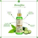 Khadi Natural Mint And Cucumber Face Spray