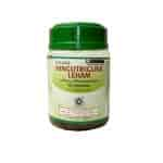 Buy Kottakkal Ayurveda Hingutriguna Leham