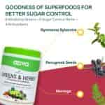 Oziva Superfood Greens & Herbs For Diabetes & Prediabetes With Gymnema Fenugreek Milk Thistle Extract
