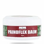 Birla Ayurveda Painoflex Balm