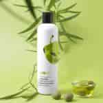 Plum Goodness Olive and Macadamia Rich Nourish Conditioner