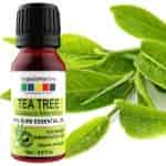 Raw Essentials Tea Tree Essential Oil