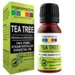 Raw Essentials Tea Tree Essential Oil