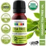 Raw Essentials Tea Tree Essential Oil