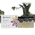 Rejuve Handmade Basil Lavender Soap With Olive Oil & Shea Butter Rejuvenates & Tones The Skin