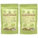 Rootz & Co. Indigo Leaf Powder Pack of 2
