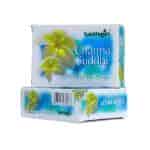 Buy Santhigiri Charma Suddhi Herbal Soap