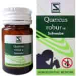 Buy SBL Quercus Robur 1X