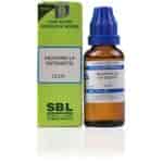 Buy SBL Salmonella Enteriditis - 30 ml